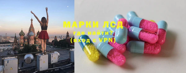 стаф Верея