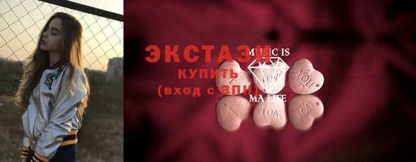 стаф Верея