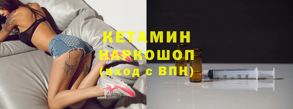 стаф Верея