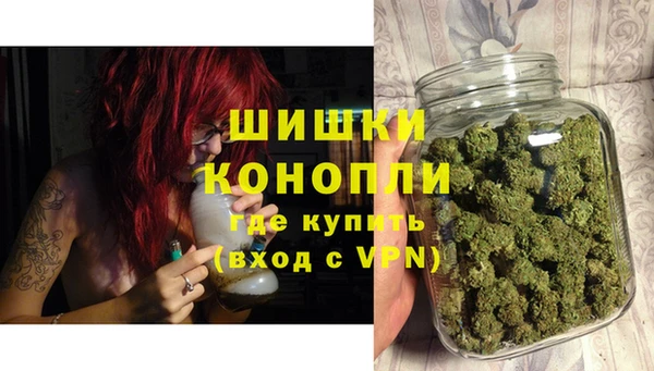стаф Верея