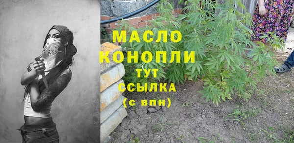 стаф Верея