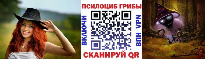 Псилоцибиновые грибы Psilocybine cubensis  блэк спрут сайт  Дорогобуж  купить закладку 